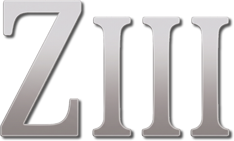 Ziii wordmark, silver